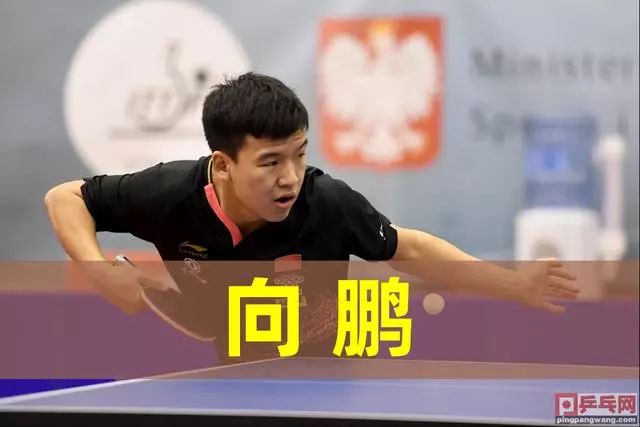 仅体现在一