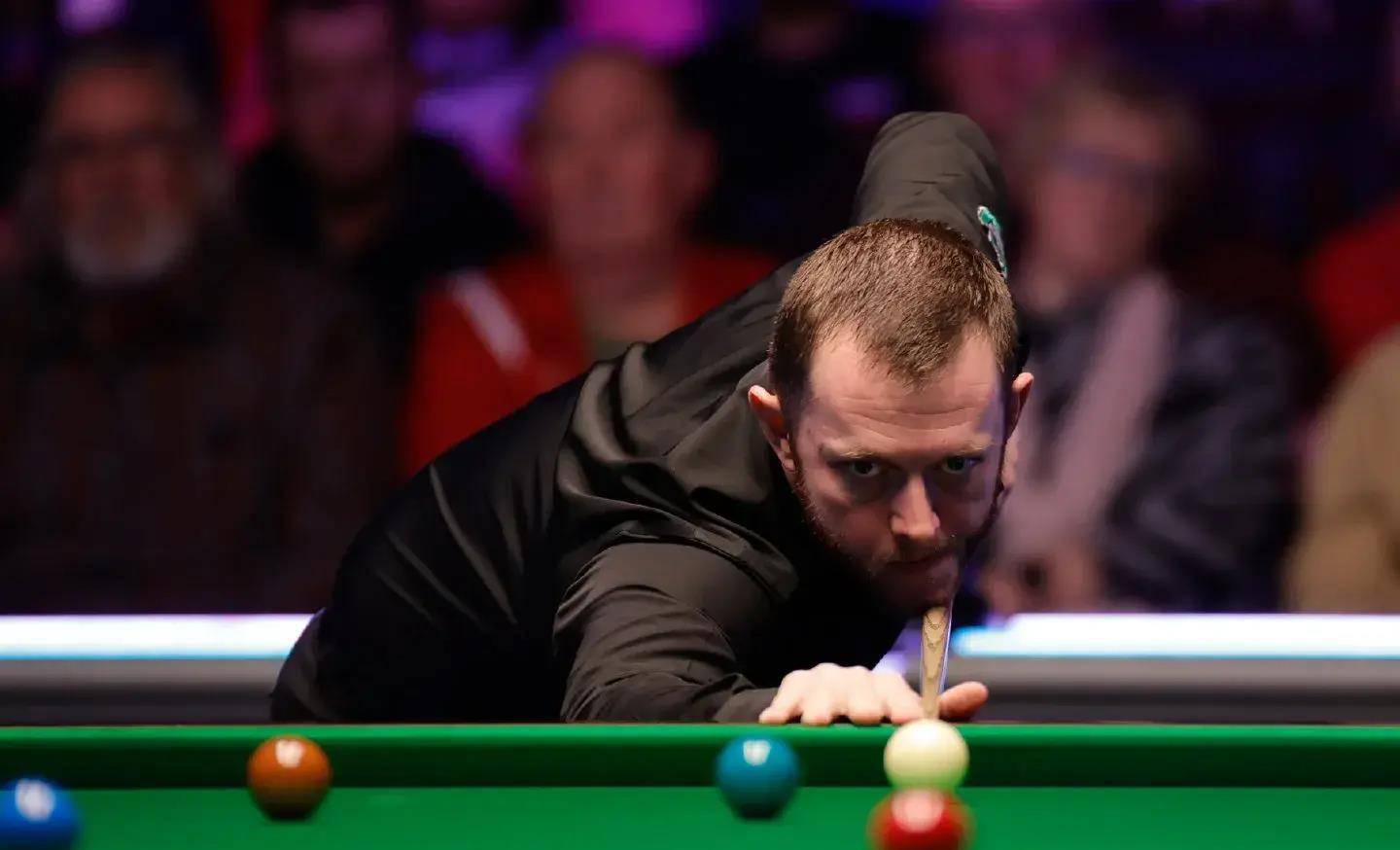 与世界羽毛 与世界羽毛