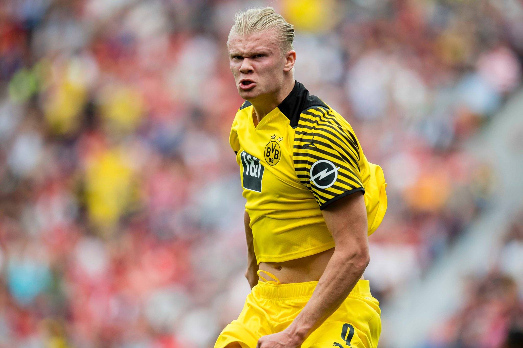 关键在于俱 关键在于俱